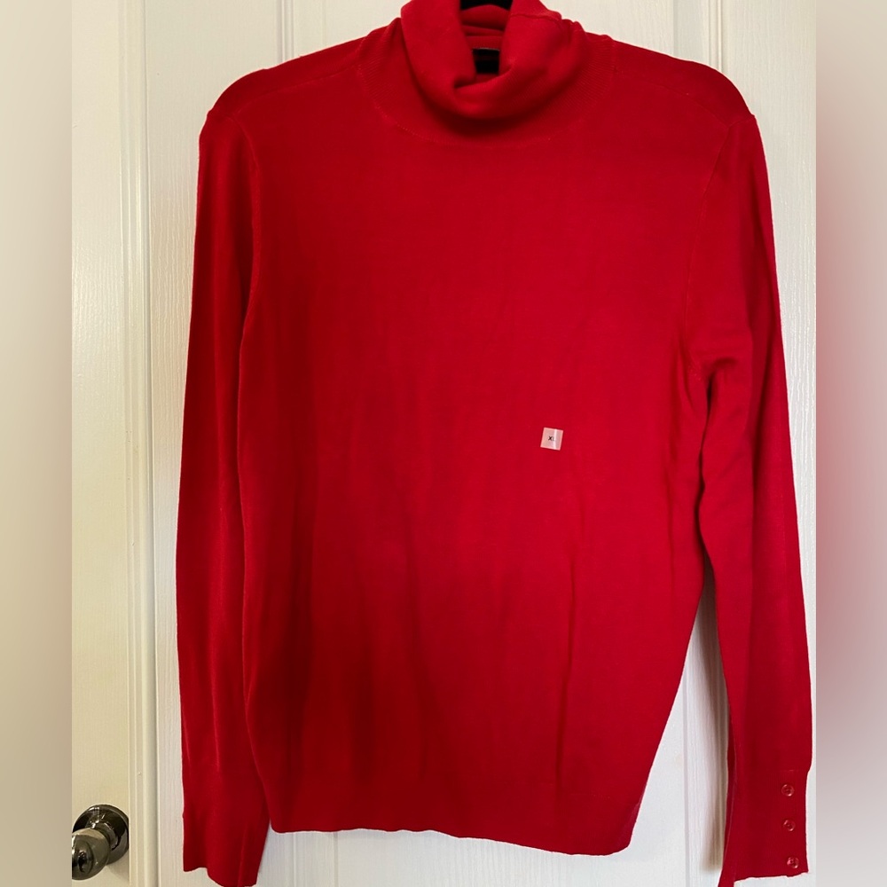 Ann Taylor Turtleneck Sweater